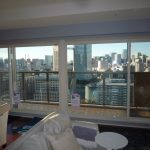 高層マンションにプラマードUを設置した事例